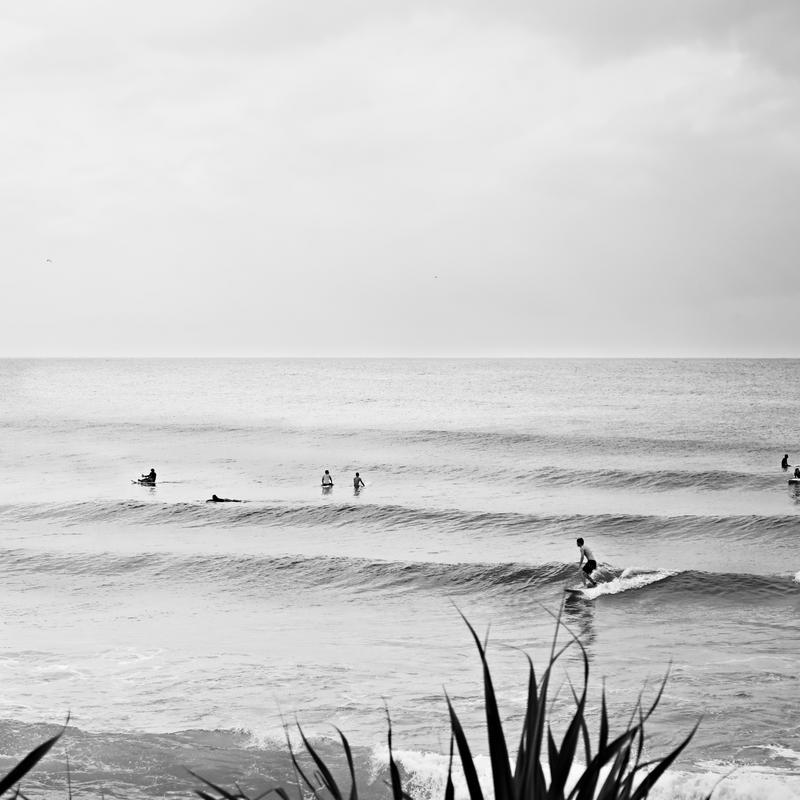 Hamptons Prints
