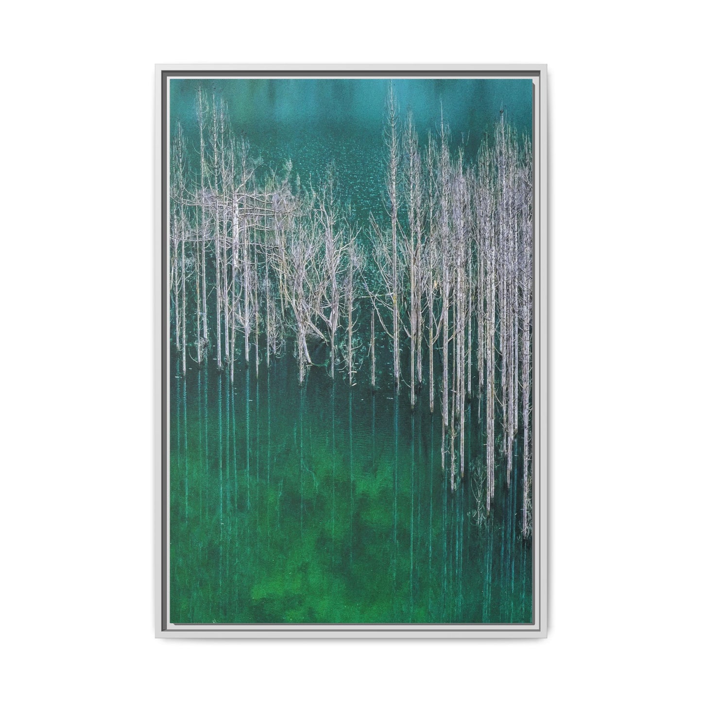 Spectral Forest