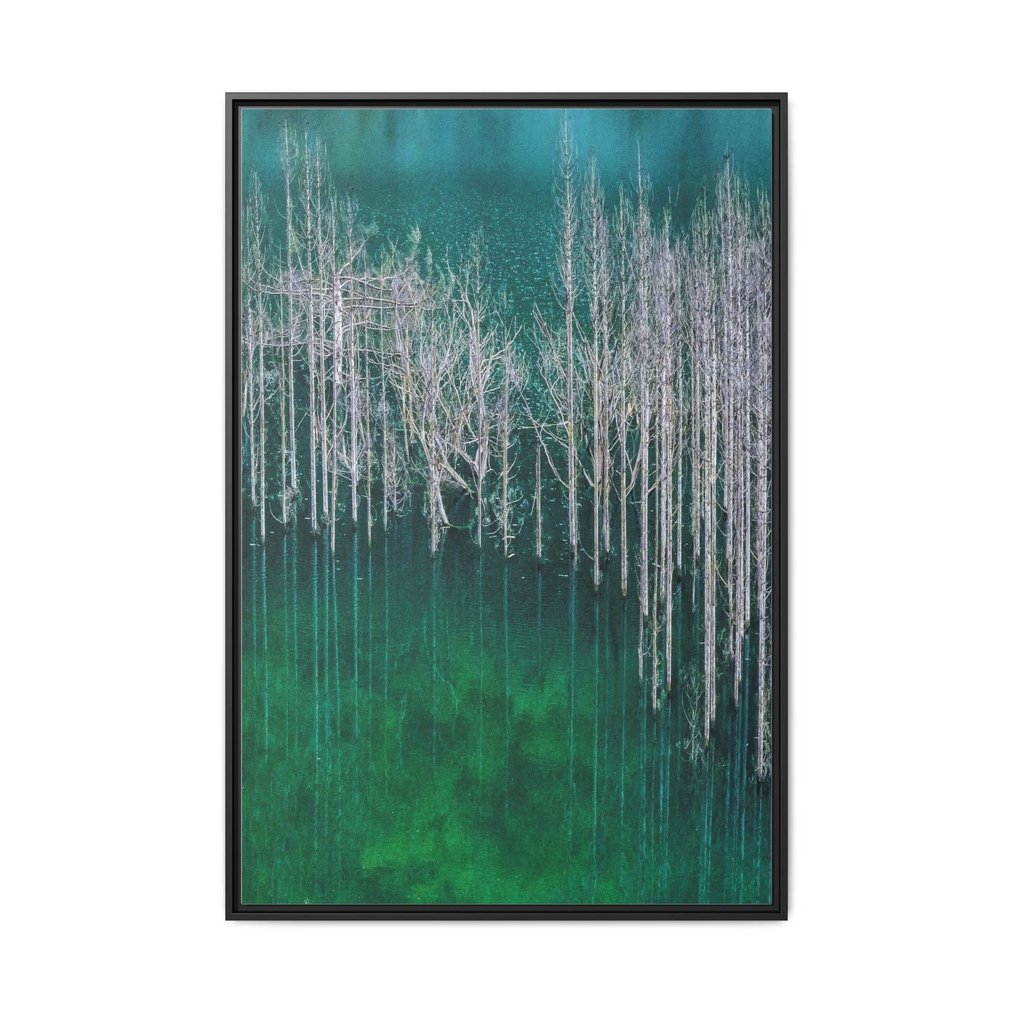 Spectral Forest