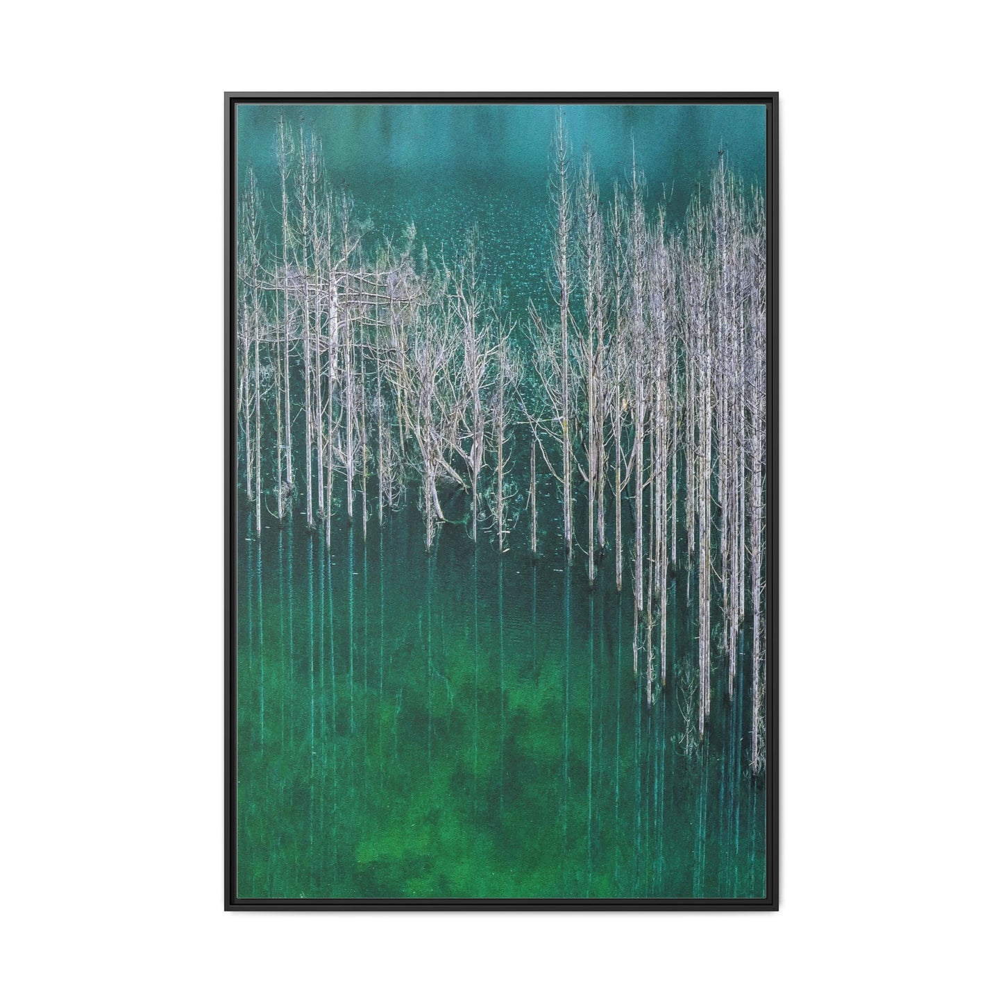 Spectral Forest