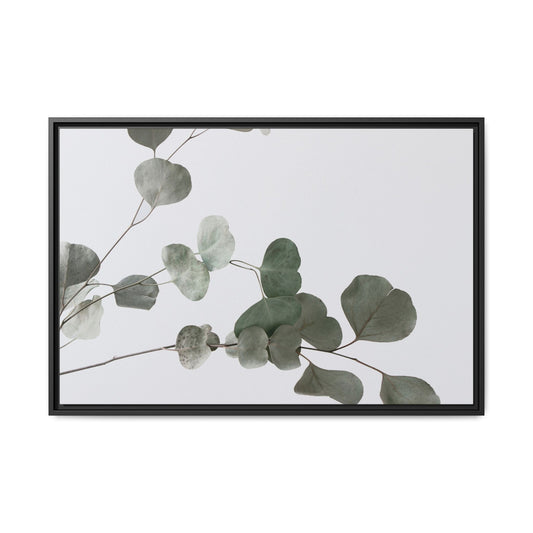 Whispers of Eucalyptus