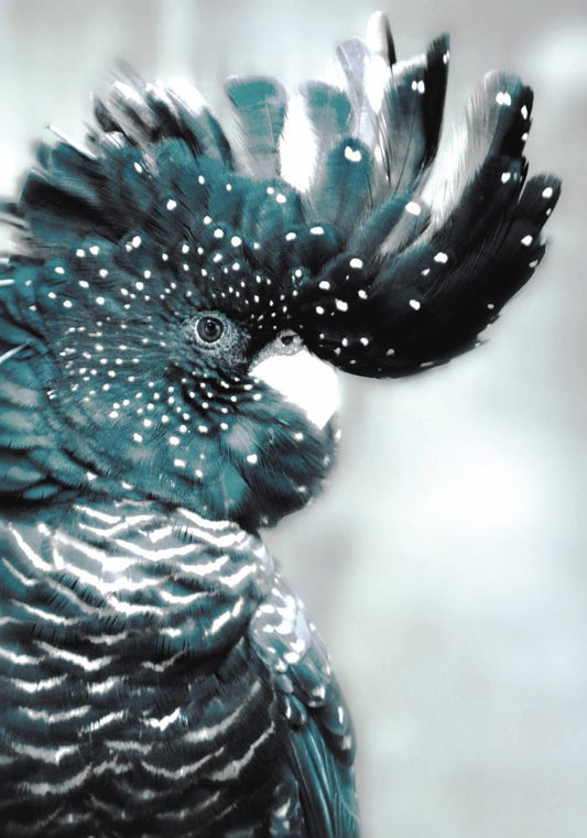 Celestial Plume