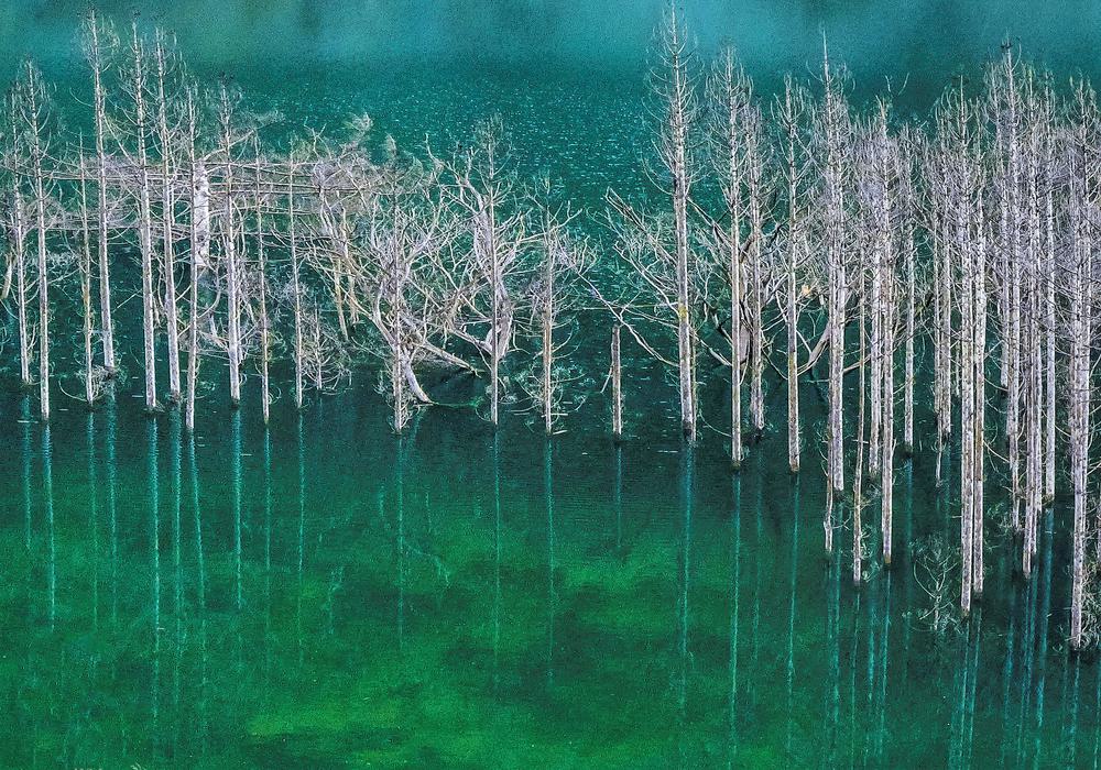 Ethereal Veil
