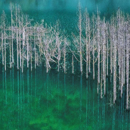 Ethereal Veil