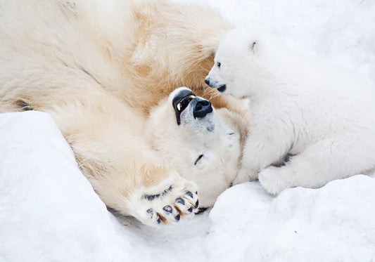 Frost Hug