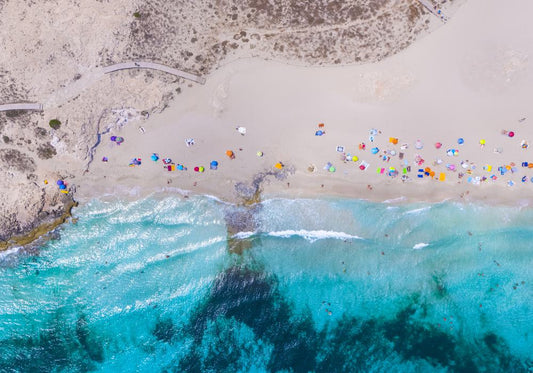 Shoreline Mosaic