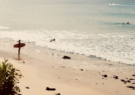 Shoreline Reverie